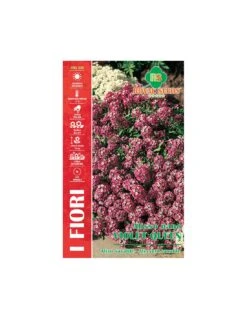 ALISSO NANO VIOLET QUEEN MAXI