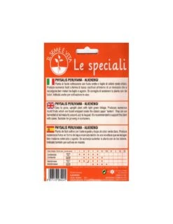 Sementie Boutique -Sementie Boutique alkekengi spe 1