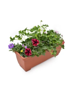 BALCONETTA MAXI PRIMAVERA 50 Cm