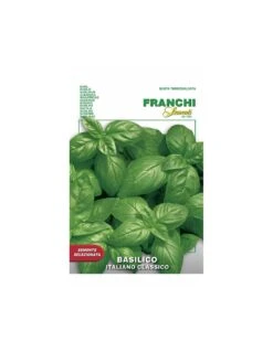 BASILICO ITALIANO GENOVESE