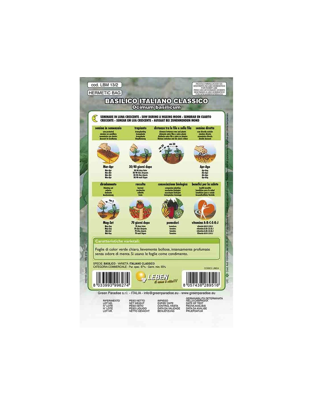 BASILICO ITALIANO CLASSICO 4 BASILICO ITALIANO CLASSICO - Image 2