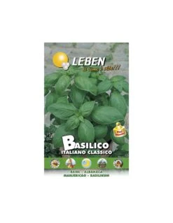 BASILICO ITALIANO CLASSICO