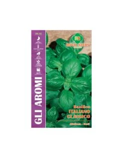 BASILICO ITALIANO CLASSICO MAXI