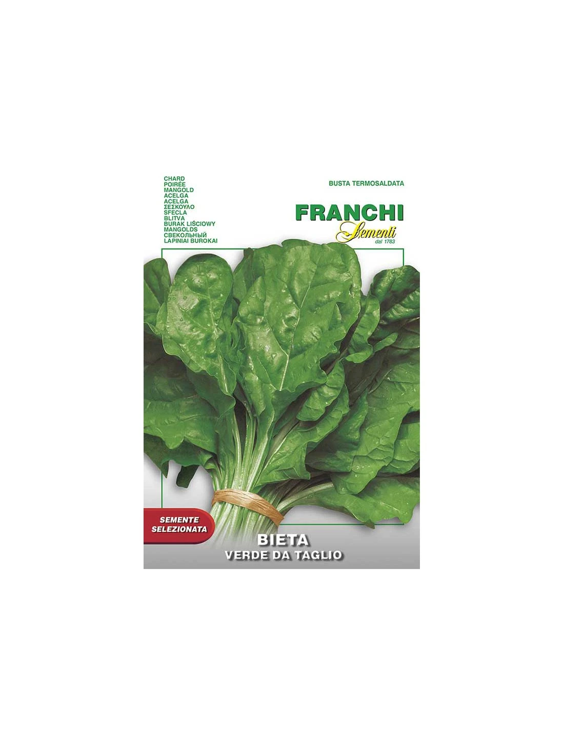 BIETA COMUNE DA TAGLIO 3 BIETA COMUNE DA TAGLIO