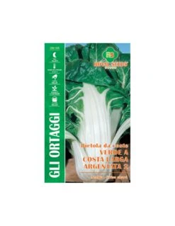 BIETOLA DA C.VERDE C. L.ARGENTATA2 MAXI