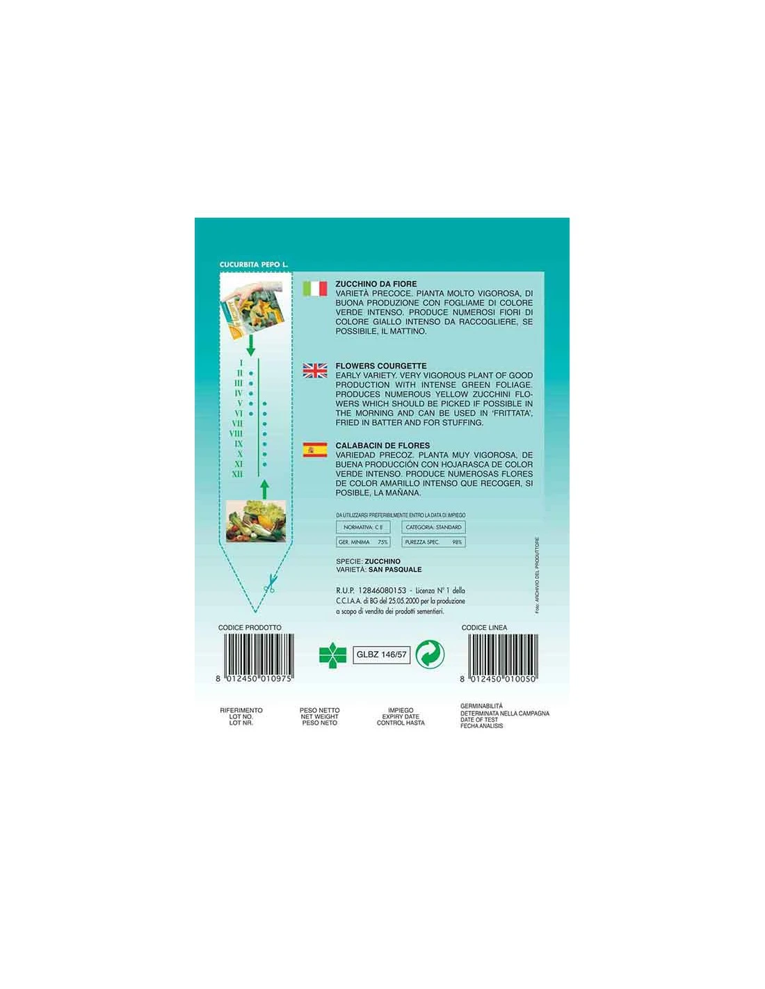 BIZZARRE ZUCCHINO FIORE 4 BIZZARRE ZUCCHINO FIORE - Image 2