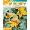 BIZZARRE ZUCCHINO FIORE 1 BIZZARRE ZUCCHINO FIORE -Sementie Boutique bizzarre zucchino fiore biz