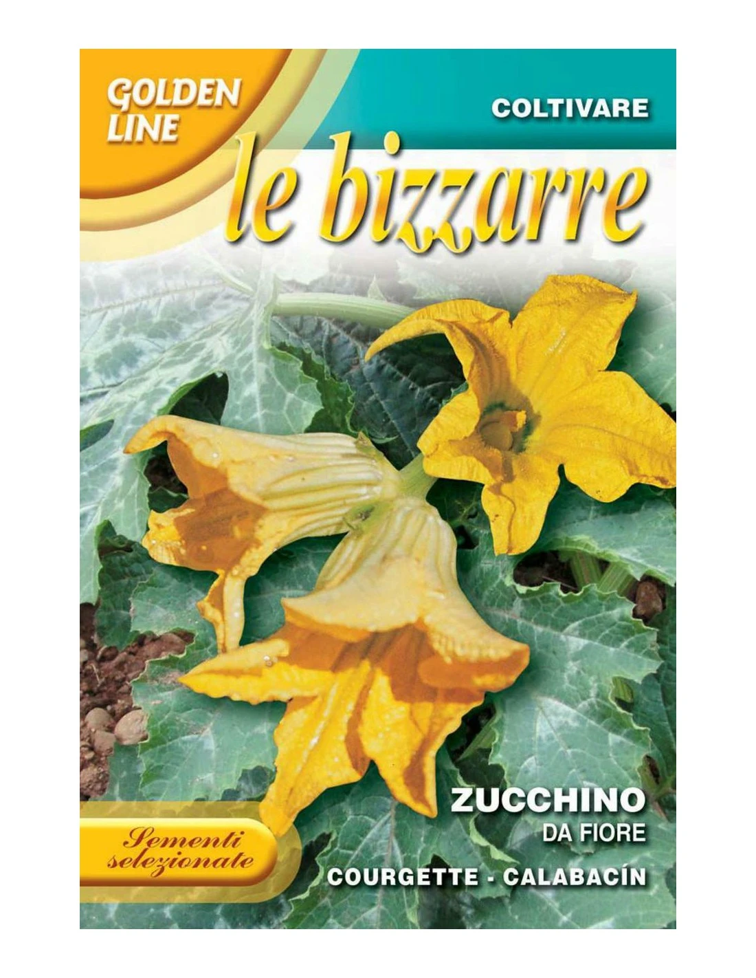 BIZZARRE ZUCCHINO FIORE 3 BIZZARRE ZUCCHINO FIORE