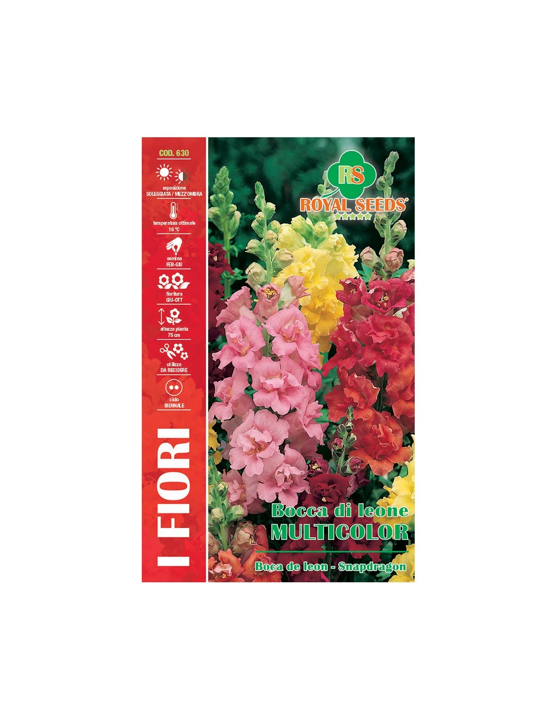 BOCCA DI LEONE MULTICOLOR MAXI 3 BOCCA DI LEONE MULTICOLOR MAXI