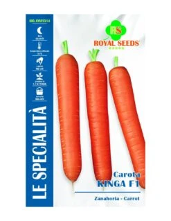 CAROTA KINGA F1 SP