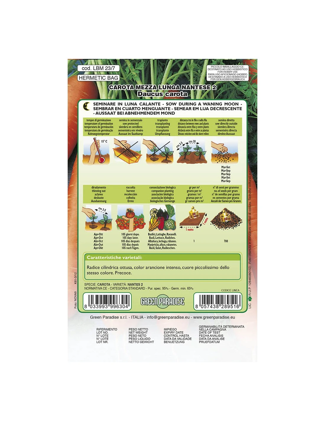 CAROTA MEZ.LUNGA NANTESE LBM 4 CAROTA MEZ.LUNGA NANTESE LBM - Image 2