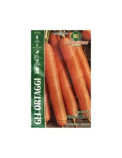 CAROTA NANTES 2 RYST