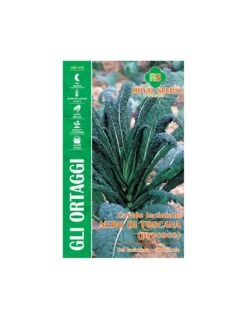 CAVOLO LAC. NERO DI TOSCANA(PR.) MAXI