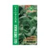 CICORIA A GRUMOLO VERDE SCURO MAXI 1 CICORIA A GRUMOLO VERDE SCURO MAXI -Sementie Boutique cicoria a grumolo verde scuro maxi