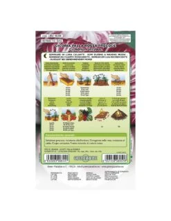 CICORIA PALLA ROSSA PREC.LBM 5 CICORIA PALLA ROSSA PREC.LBM -Sementie Boutique cicoria palla rossa 3 lbm 1