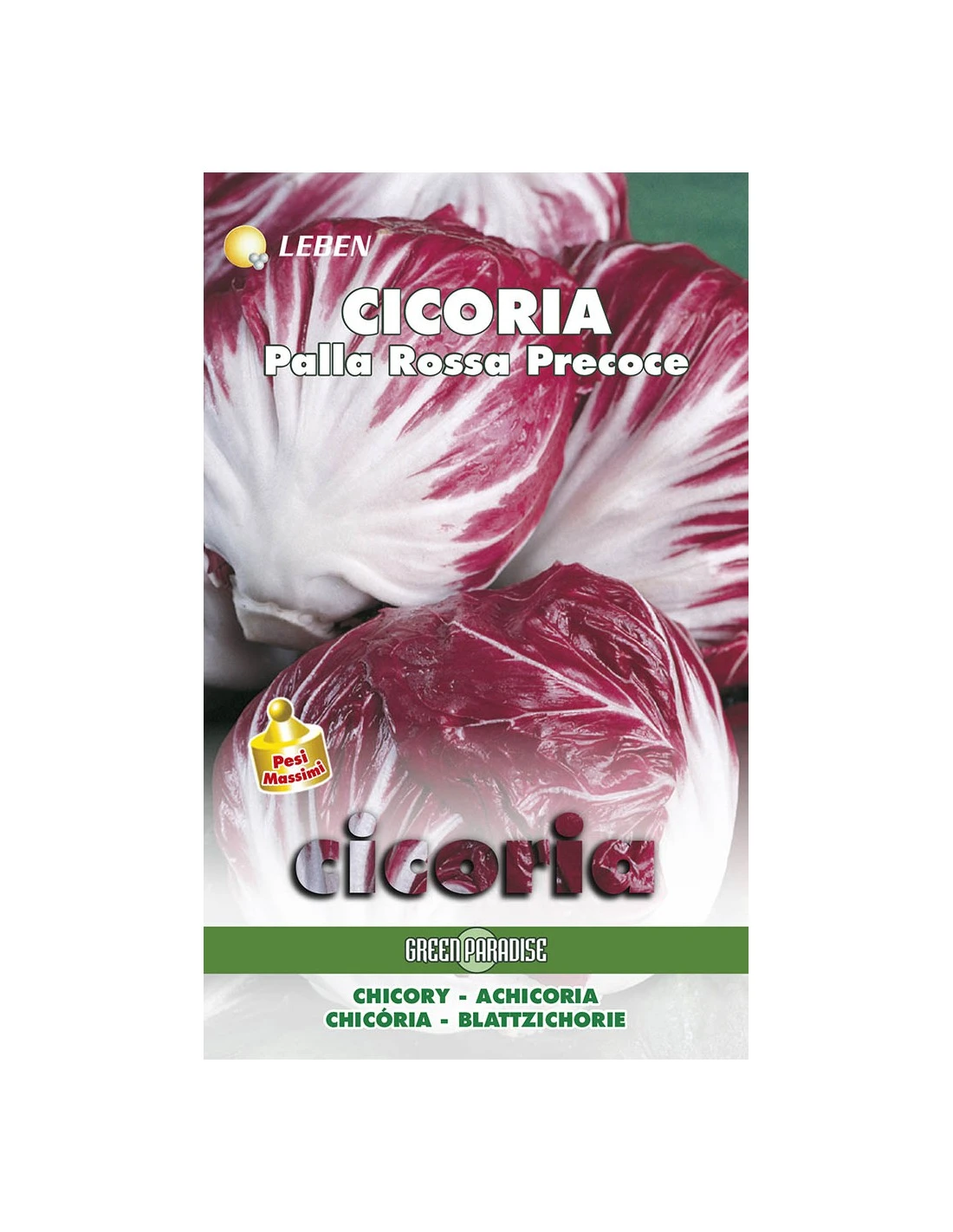 CICORIA PALLA ROSSA PREC.LBM 3 CICORIA PALLA ROSSA PREC.LBM