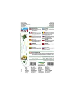 CIMA DI RAPA 40 Giorni 4 CIMA DI RAPA 40 Giorni -Sementie Boutique cima di rapa 40 giorni 1