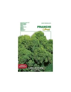 CIMA DI RAPA 90 GIORNI