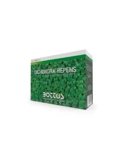 DICONDRA REPENS Semi Per Prato Gr.500