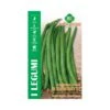 FAGIOLO NANO SLENDERETTE B 100 GR 2 FAGIOLO NANO SLENDERETTE B 100 GR -Sementie Boutique fagiolo nano slenderette b 100 gr