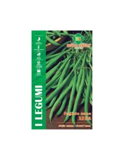 FAGIOLO NANO XERA S 250 GR