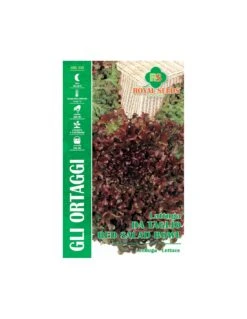 LATTUGA DA TAGLIO RED SALADBOWL MAXI