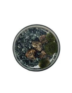 Sementie Boutique -Sementie Boutique marimo diametro 16 cm altezza 20 cm 1