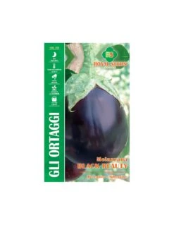 MELANZANA BLACK BEAUTY MAXI