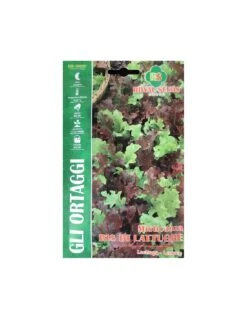 MISTICANZA BIS LATTUGHE MAXI