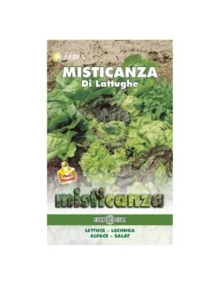 MISTICANZA LATTUGHE LBM