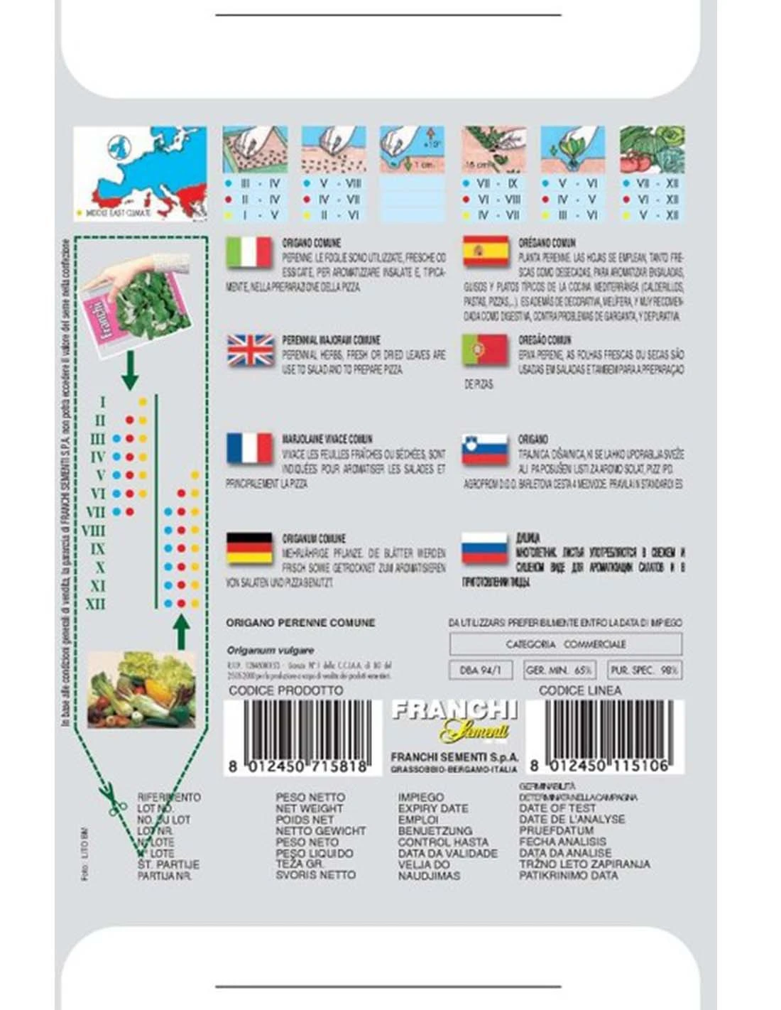 ORIGANO PERENNE 4 ORIGANO PERENNE - Image 2