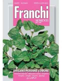 ORIGANO PERENNE