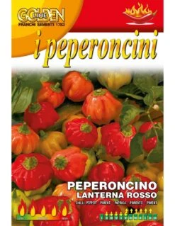 PEPERONCINO LANTERNA ROSSO