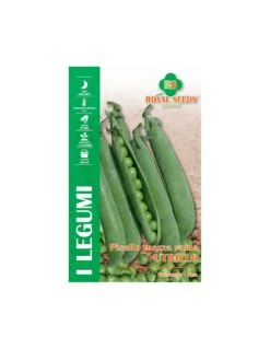 PISELLO G.RUGOSO UTRILLO - 100 GR