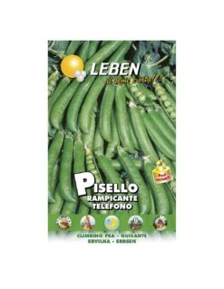 PISELLO RAMP.TELEFONO GR.250