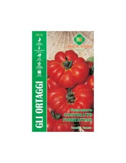 POMODORO COSTOLUTO FIORENTINO MAXI