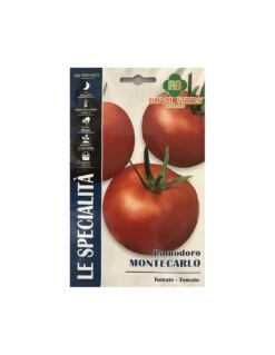 POMODORO MONTECARLO F1 SP