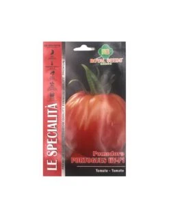 POMODORO PORTUGUES F.1