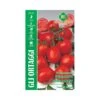 POMODORO PRINCIPE BORGHESE MAXI 1 POMODORO PRINCIPE BORGHESE MAXI -Sementie Boutique pomodoro principe borghese maxi