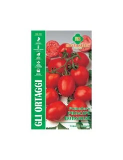 POMODORO PRINCIPE BORGHESE MAXI