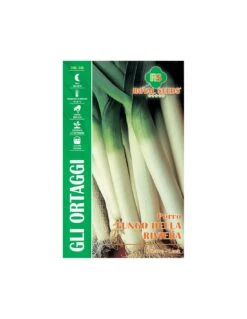 PORRO LUNGO DELLA RIVIERA MAXI