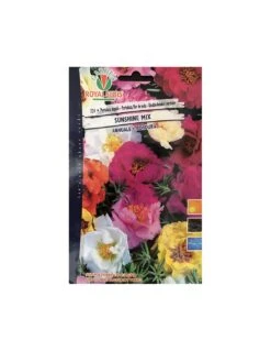 PORTULACA DOPPIA MULTICOLOR MAXI