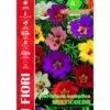 PORTULACA SEMPLICE MULTICOLOR MAXI 2 PORTULACA SEMPLICE MULTICOLOR MAXI -Sementie Boutique portulaca semplice multicolor maxi