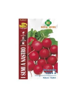 RAVANELLO SAXA 2 (nastro)