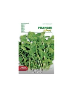 RUCOLA COLTIVATA