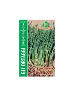 SALSOLA SODA ROSCANO MAXI