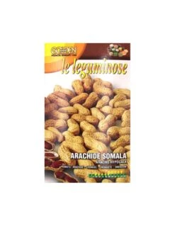 SCATOLA ARACHIDI GR 50