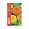 TAGETE GIGANTE A F.PIENO MULTICOLOR MAXI