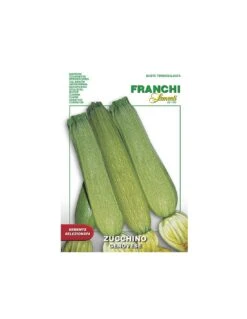 ZUCCHINO GENOVESE
