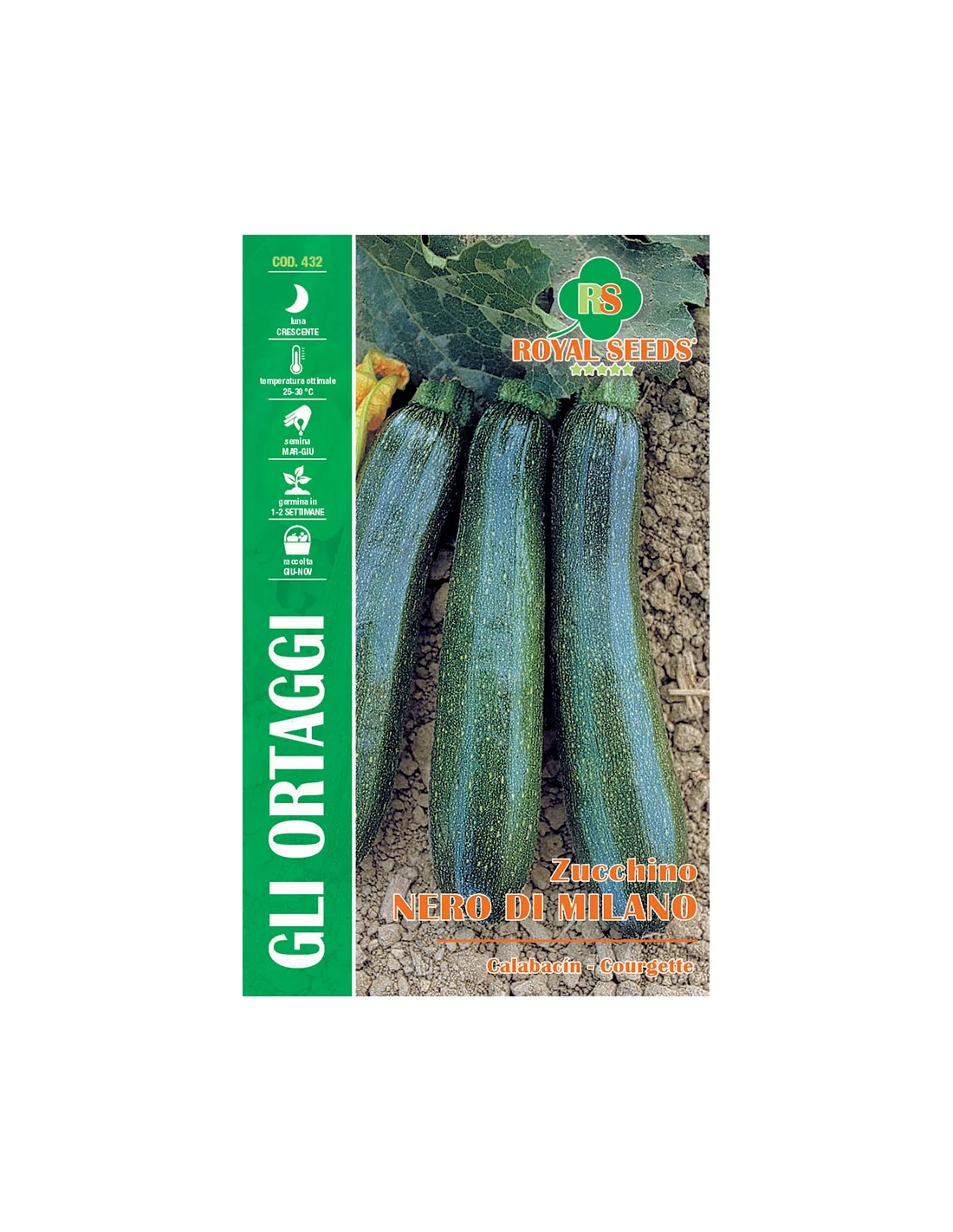 ZUCCHINO NERO DI MILANO MAXI 3 ZUCCHINO NERO DI MILANO MAXI